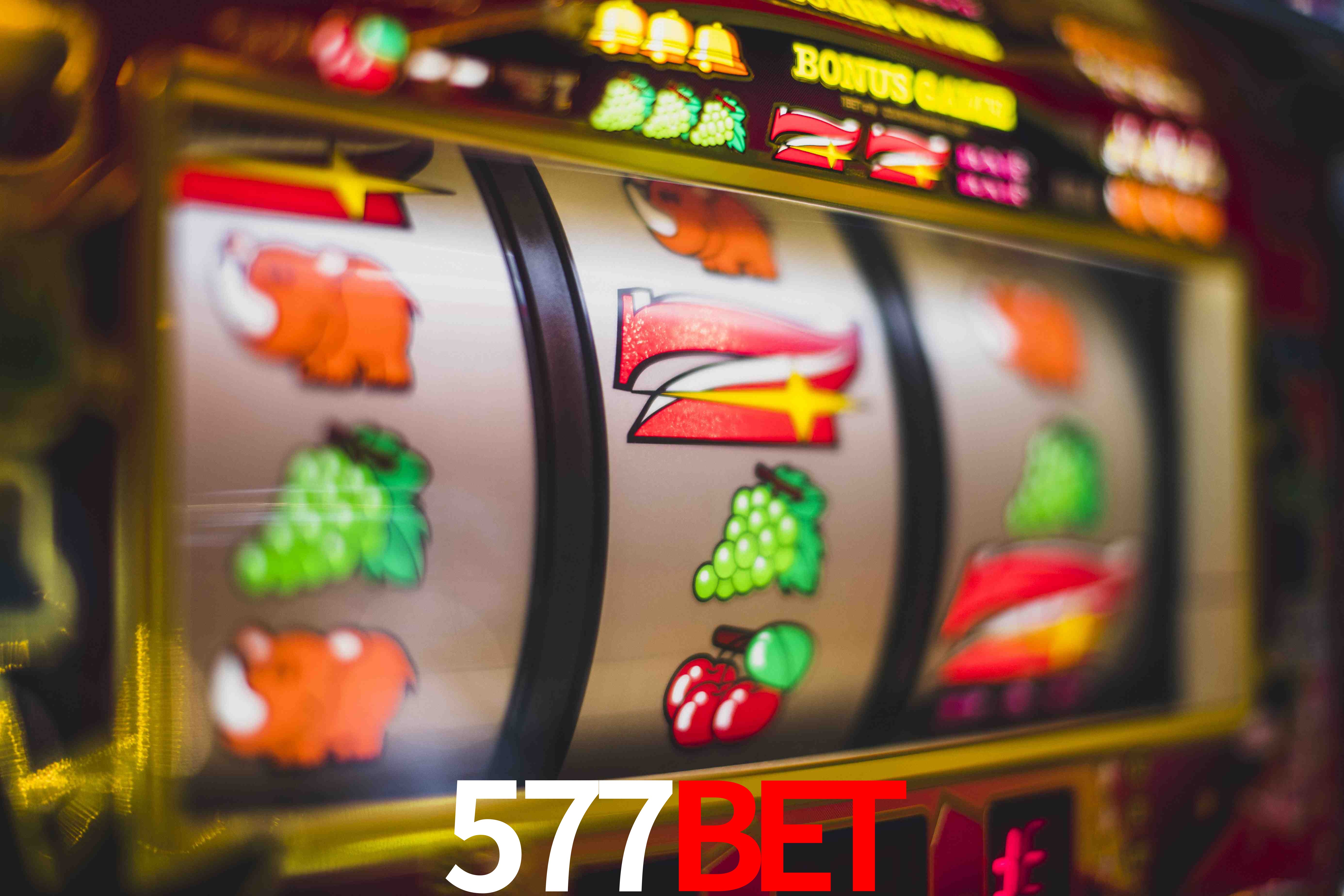Sports Statistics 577bet